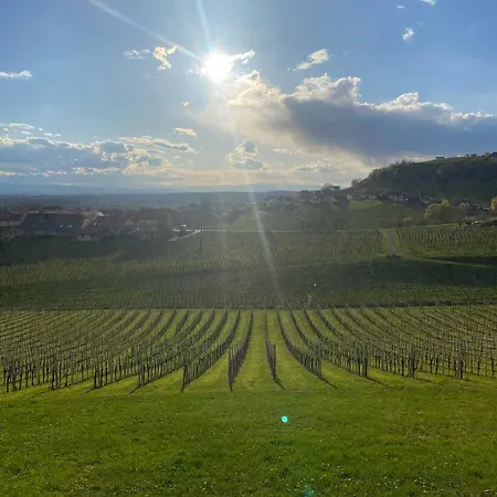 Apartment Im Wein- Und Freizeitidyll *