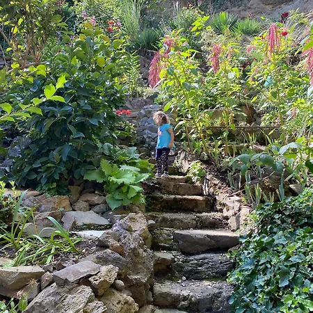 Im Wein- Und Freizeitidyll Apartament *