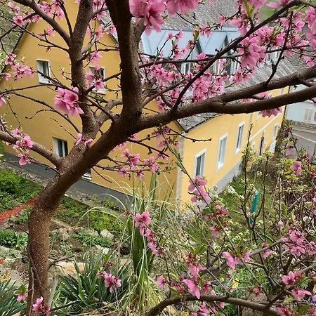 Im Wein- Und Freizeitidyll Klöch