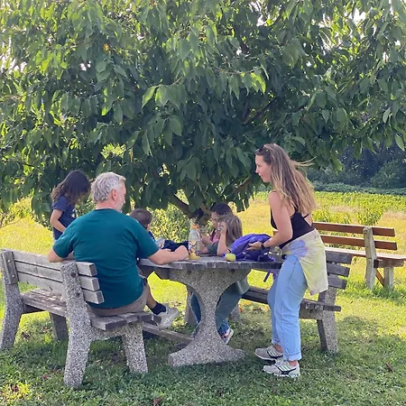 Im Wein- Und Freizeitidyll