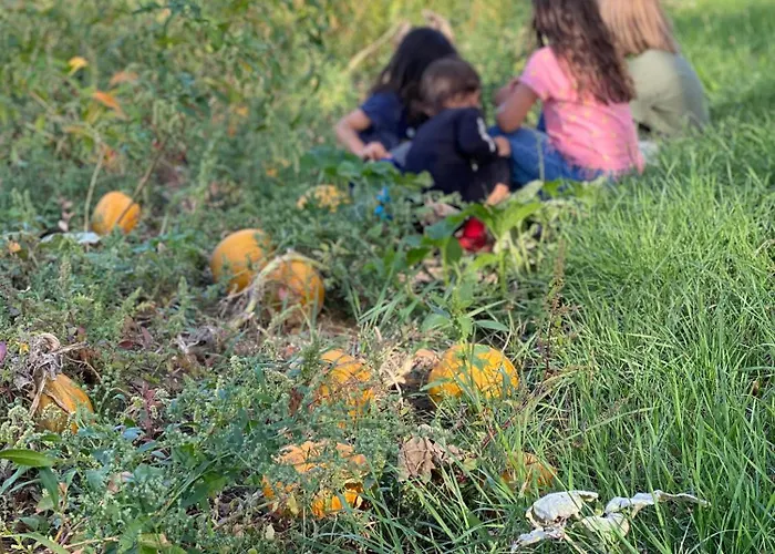 Apartment Im Wein- Und Freizeitidyll