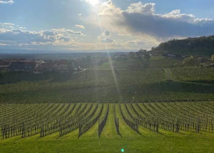 Apartment Im Wein- Und Freizeitidyll *