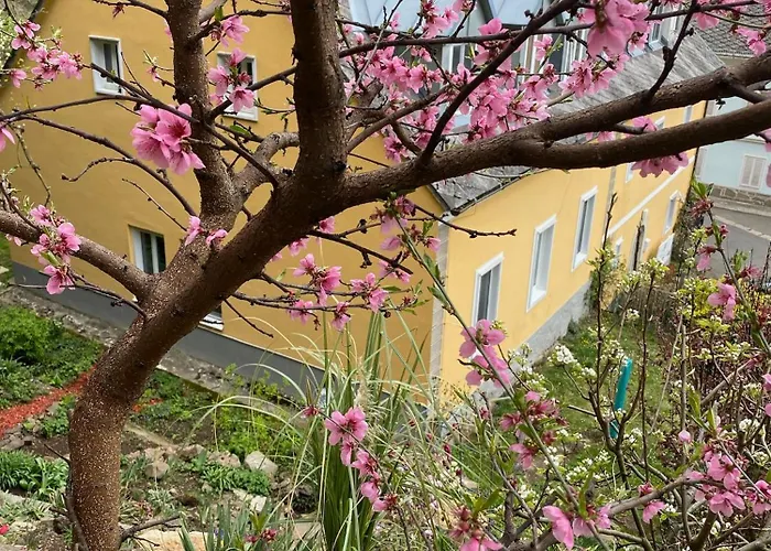 Im Wein- Und Freizeitidyll Kloch