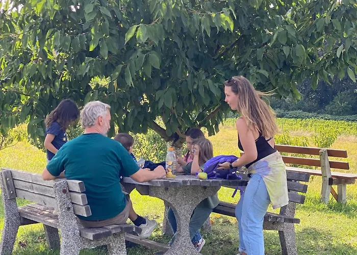 Im Wein- Und Freizeitidyll